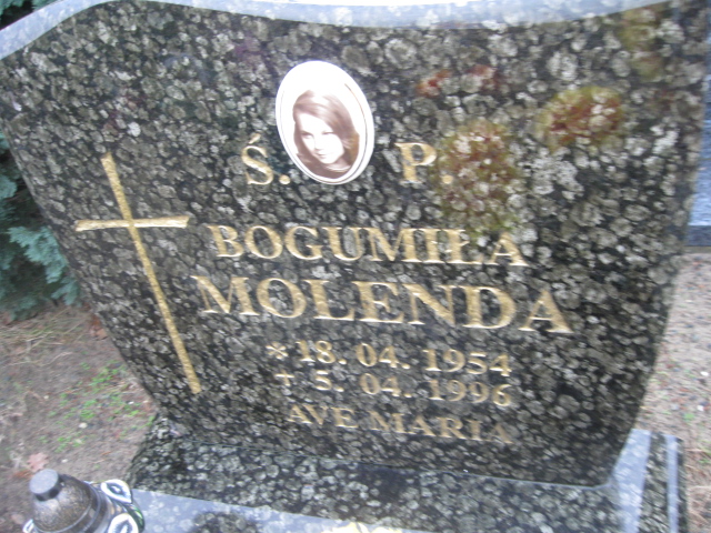 Bogumiła Molenda 1954 Bierutów - Grobonet - Wyszukiwarka osób pochowanych