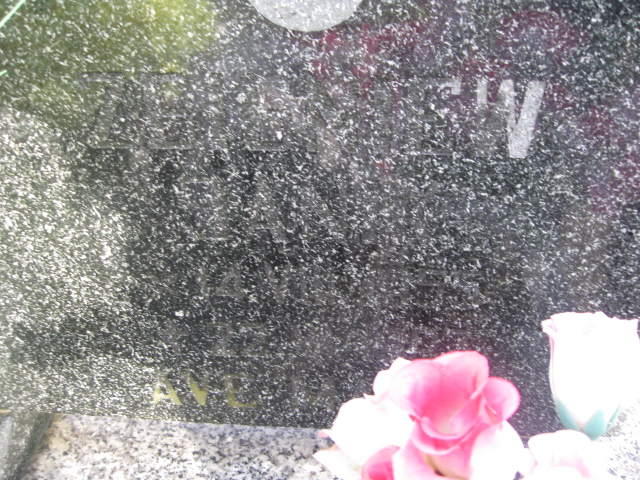 Zbigniew Janik 1955 Bierutów - Grobonet - Wyszukiwarka osób pochowanych