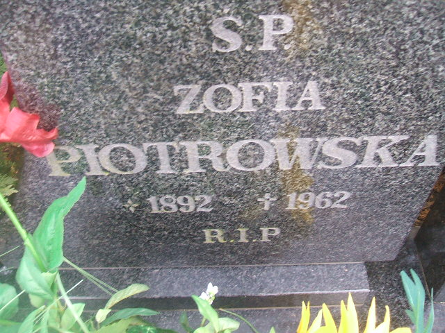 Jan Skibicki 1924 Bierutów - Grobonet - Wyszukiwarka osób pochowanych