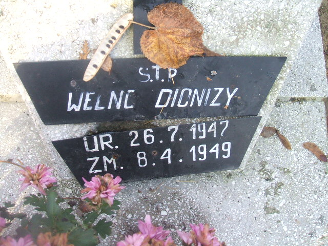 Dionizy Welenc 1947 Bierutów - Grobonet - Wyszukiwarka osób pochowanych