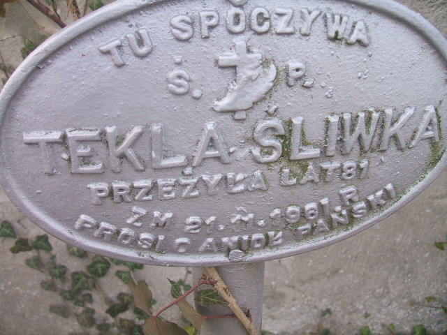 Tekla Śliwka 1880 Bierutów - Grobonet - Wyszukiwarka osób pochowanych