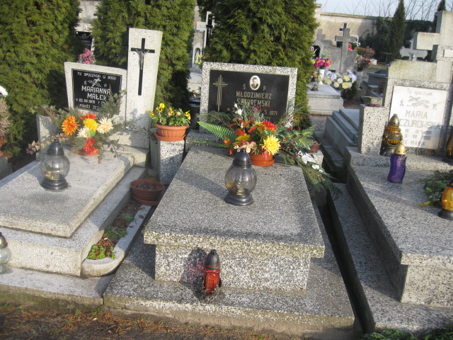 Grób Włodzimierz Szturemski