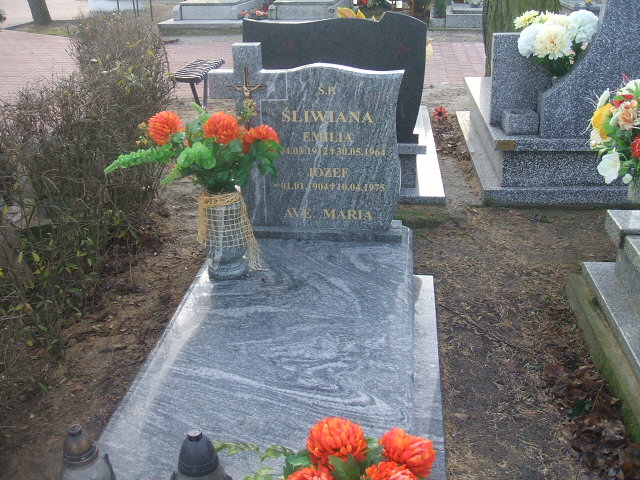 Grób Emilia Śliwiana