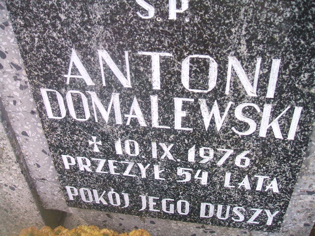 Krzysztof DOMALEWSKI 1959 Bierutów - Grobonet - Wyszukiwarka osób pochowanych